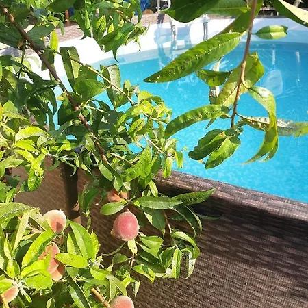 Il Nido Apartment Cecina (Livorno)